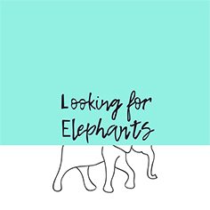 Looking for Elephants